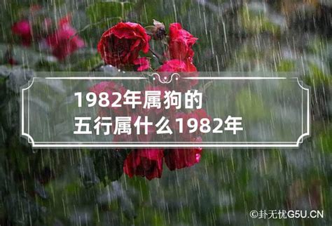 1970屬狗五行缺什麼|1970属狗五行缺什么 (1970年属狗五行属什么,五行缺什么)